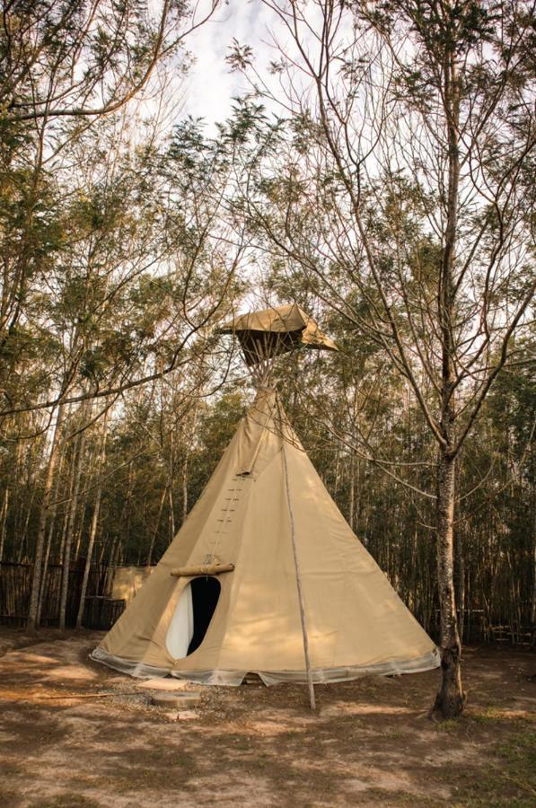 Forest Harmony Κνύσνα Εξωτερικό φωτογραφία