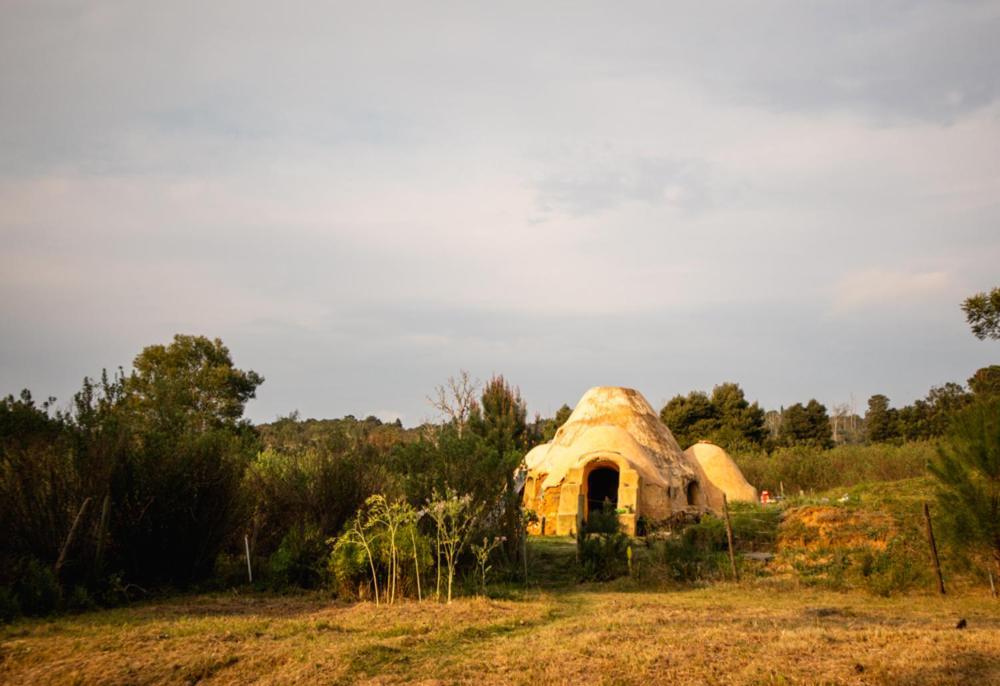 Forest Harmony Κνύσνα Εξωτερικό φωτογραφία